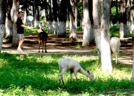五一节长春出境旅游旅行社_五一节长春旅游景