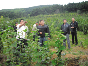 村支书带领村民走上致富路