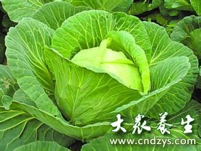 生菜含维生素k是多少 00188b1996f2147781e827.jpg